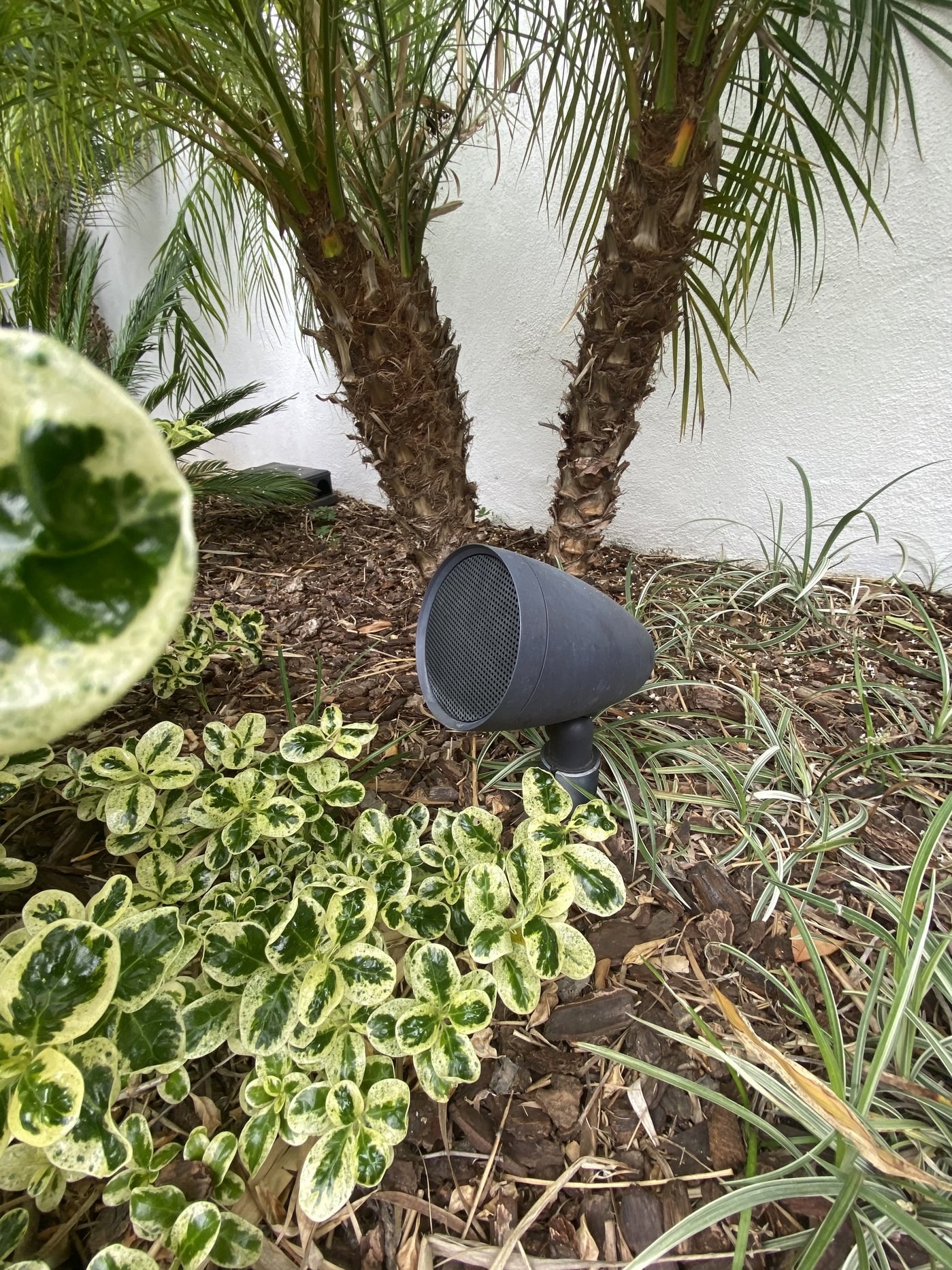Landscape audio installation, Sherman Oaks